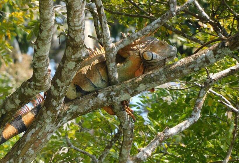 مبيت وإفطار Villas Santa Maria   Private Bay Lake Arenal