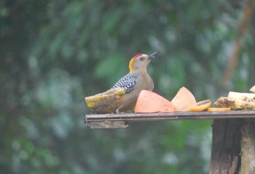 مبيت وإفطار Villas Santa Maria   Private Bay Lake Arenal