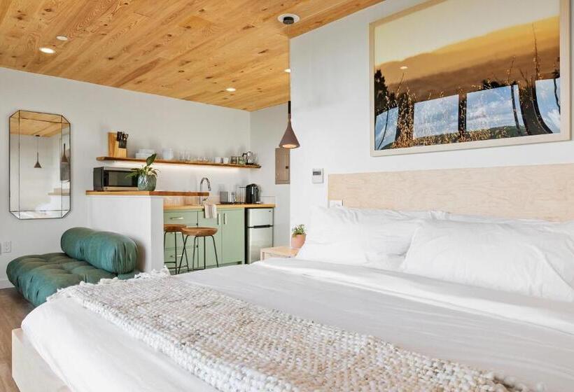 Designer Glam Hotel Near Downtown Fun And Vibey