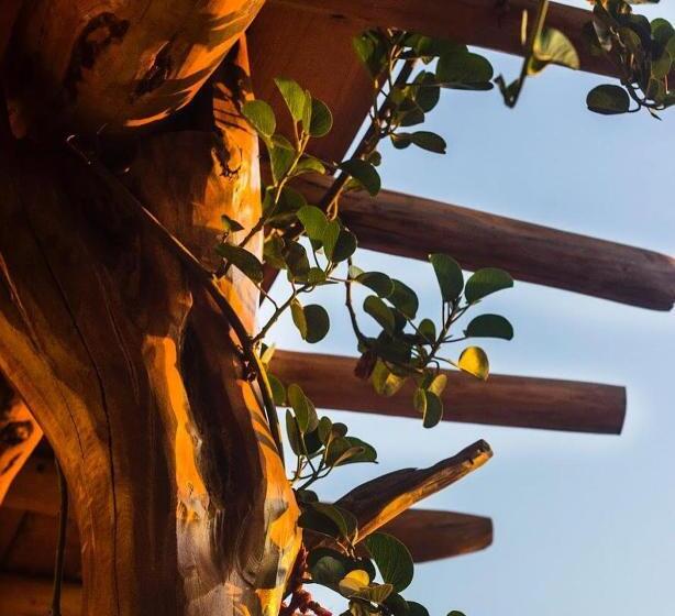 فندق Boutique At Cuatunalco