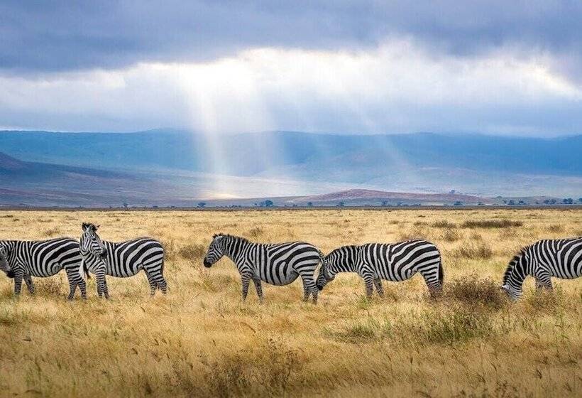 בית מלון כפרי Kilimanjaro Home Of Travelers