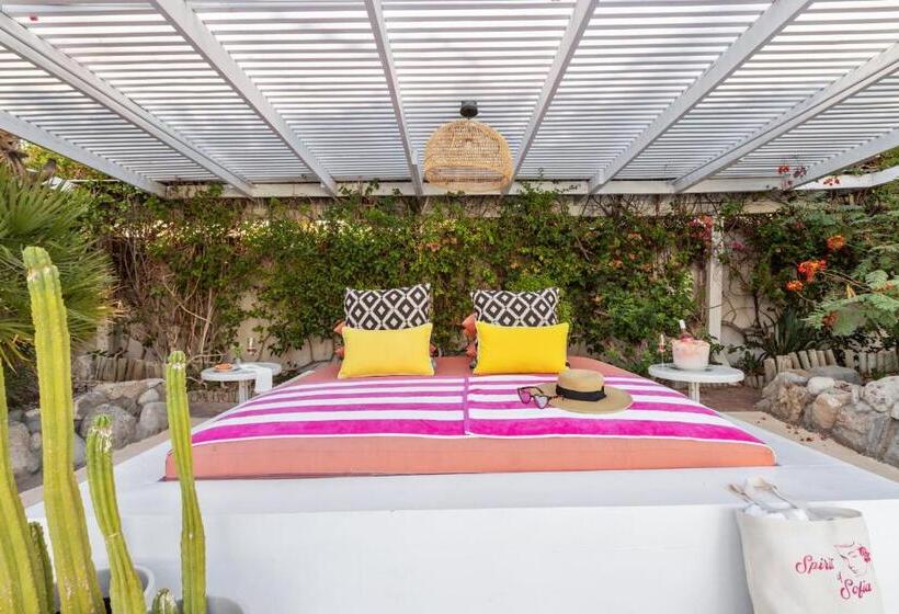 בית מלון כפרי Natural Palm Springs Escape Poolside Plus Downtown