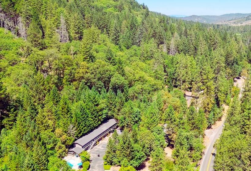 호텔 The Fainting Couch Boutique