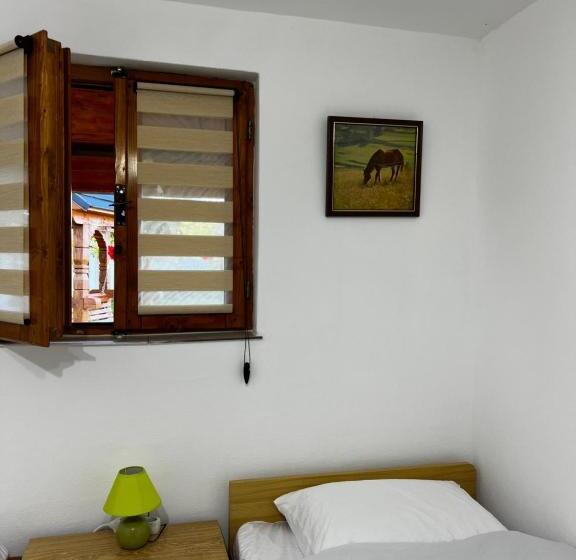 פנסיון Casa Guriță