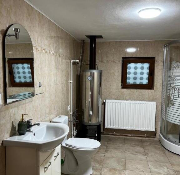 פנסיון Casa Guriță