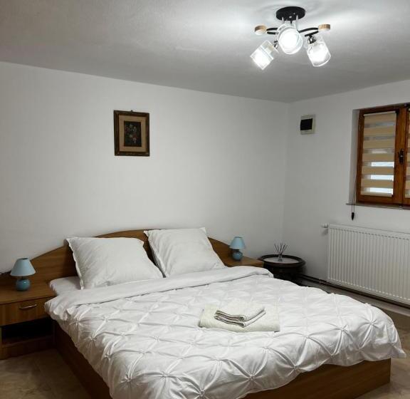 פנסיון Casa Guriță