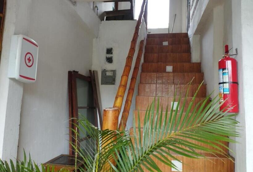 پانسیون Casa Surf Brother  S He Enalu