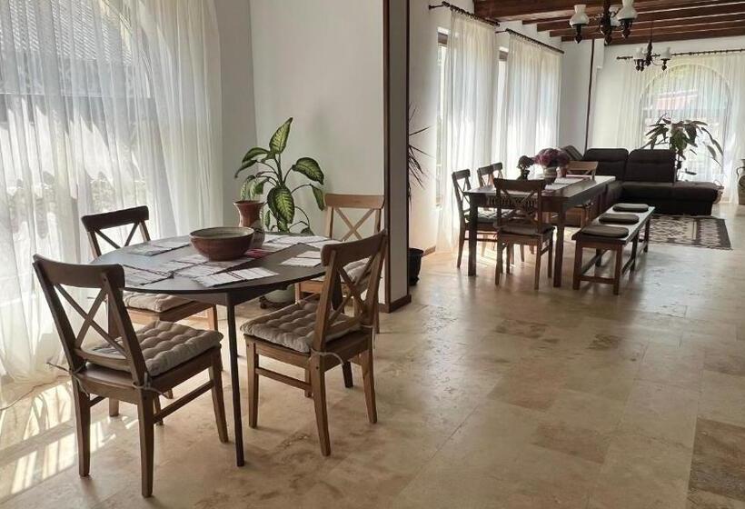 펜션 Casa Tudorescu