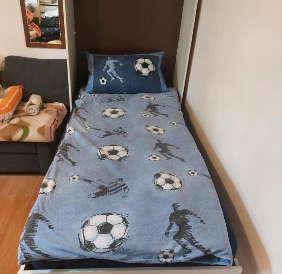 Пансион Chambre Avec 1 Lits Et 1 Canapé Convertible, Salle De Bain Et Cuisine Communes