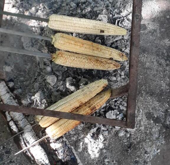 پانسیون Guest House Udziro