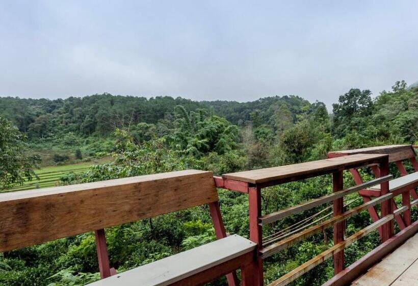 Пансион Palacoffeehouse ปางอุ๋ง