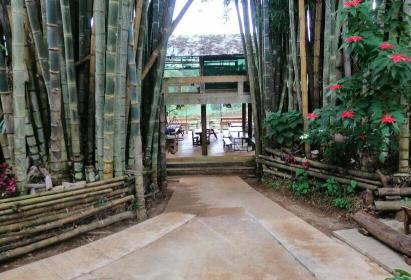 Пансион Palacoffeehouse ปางอุ๋ง