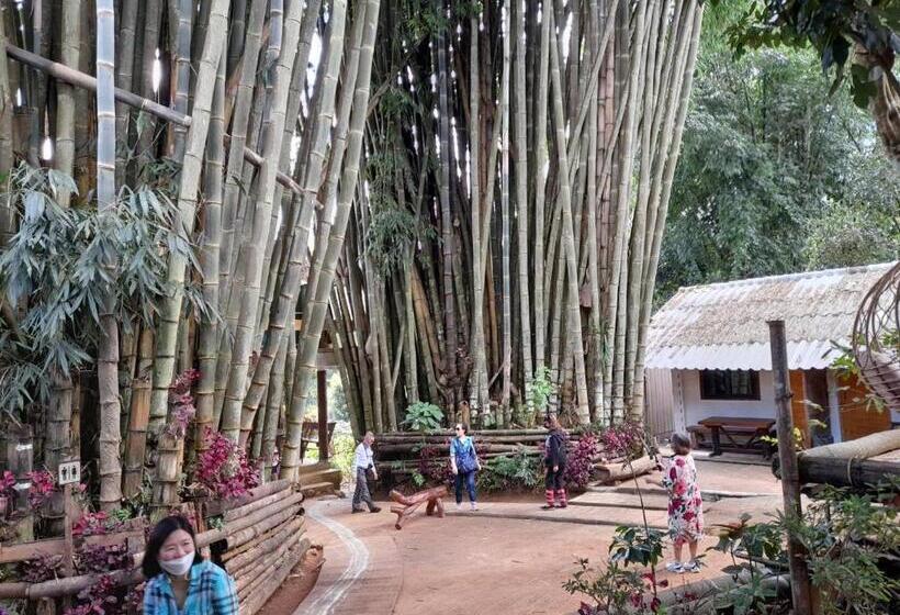 Пансион Palacoffeehouse ปางอุ๋ง