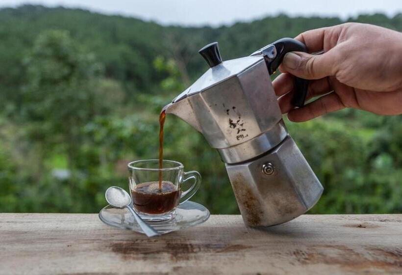 Пансион Palacoffeehouse ปางอุ๋ง