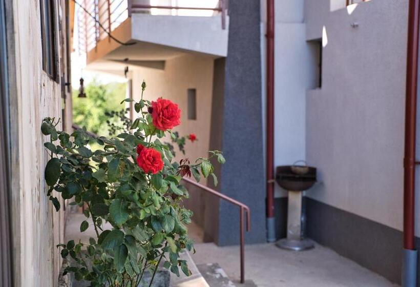 펜션 Perla Argesului, Cazare, Ciubar, Piscina, Lift, Pensiuni, Hotel, Cabana, Vila, Munte, Transfăgarasan