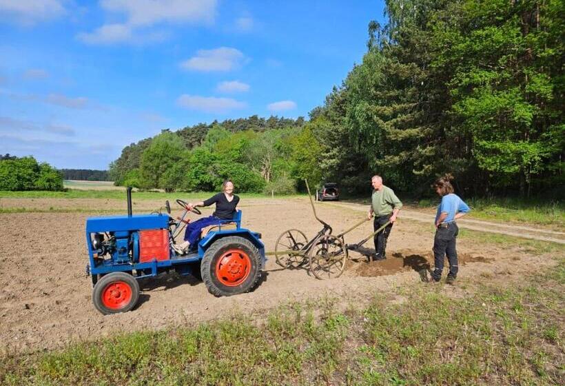 ペンション Schlamau19   Unterm Nussbaum