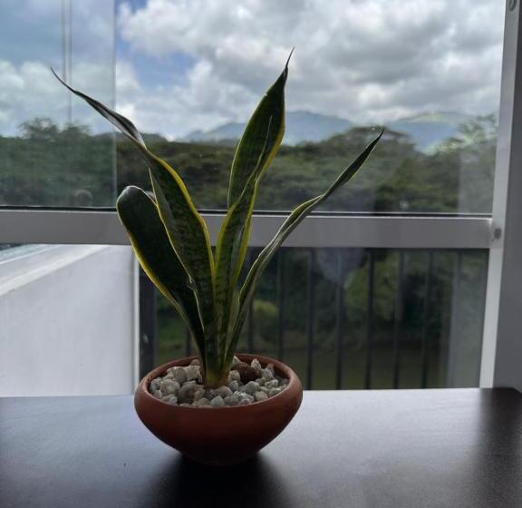 ペンション Varsity Villa