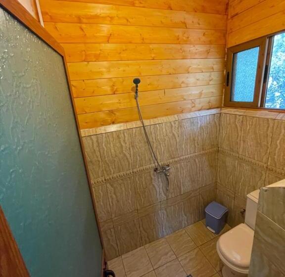 Perla Restorant Divjakë