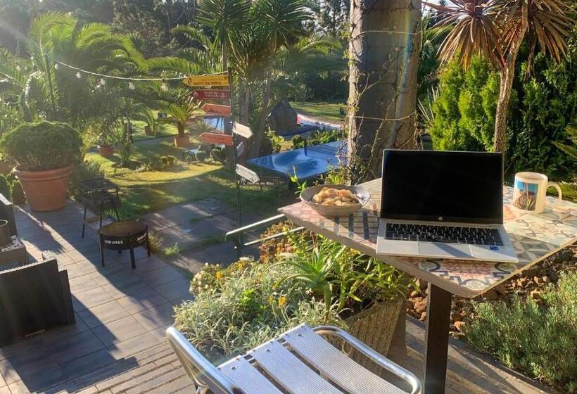 Общежитие Homeoffice Madeira Coliving & Coworking With A Nice Community