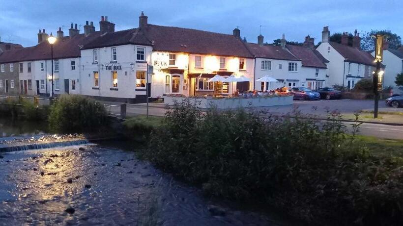 Общежитие The Buck