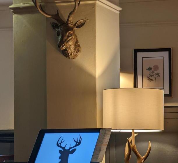 Общежитие The Buck