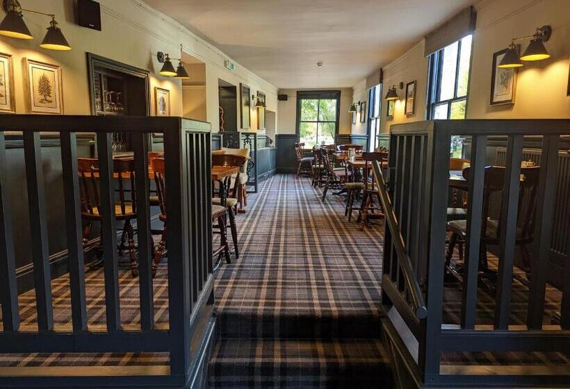 Общежитие The Buck