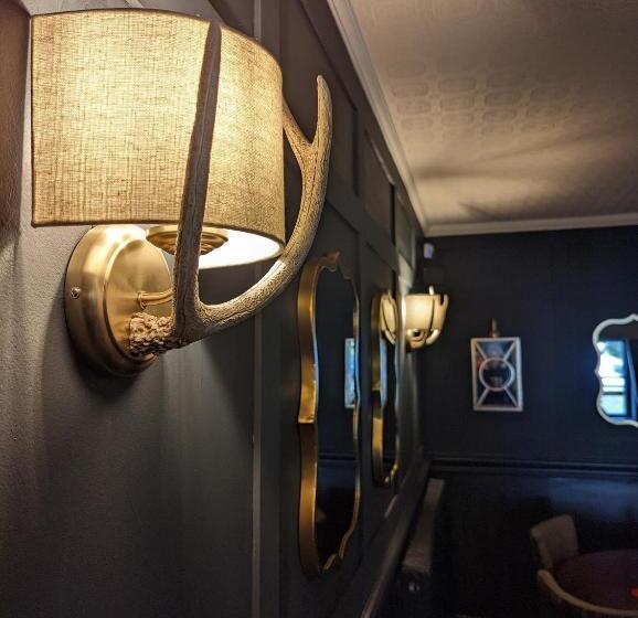 Общежитие The Buck