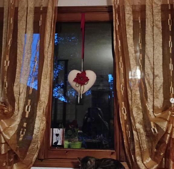 住宿加早餐  Casa Ciclamina