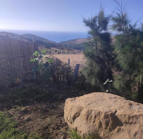 تختخواب و صبحانه Darna2