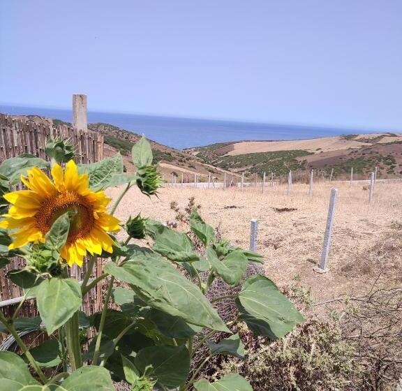 تختخواب و صبحانه Darna2