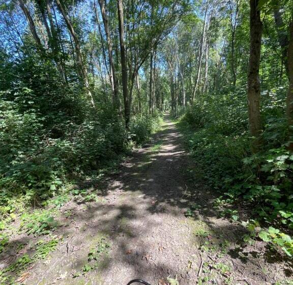 Bed and Breakfast Disneyland Chambre Climatisée Vaires Sur Marne Au Cœur Des Jeux Olympiques