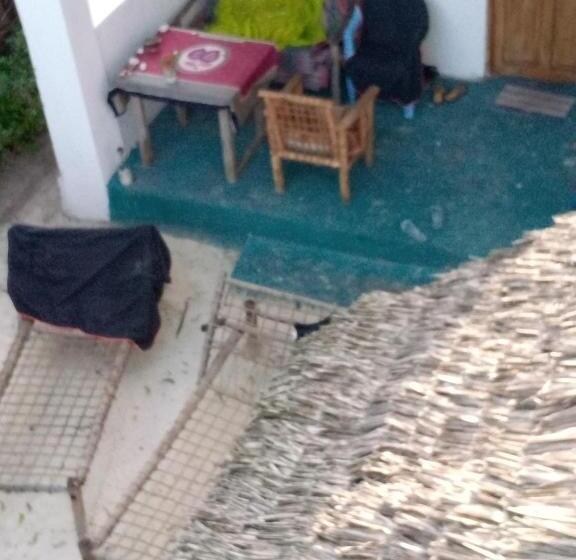 Bed and Breakfast Green View Jambiani