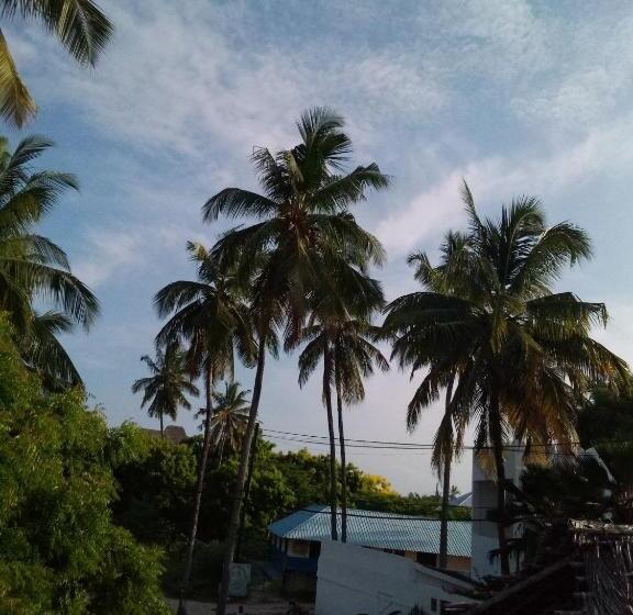 Bed and Breakfast Green View Jambiani