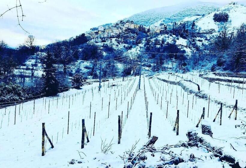 مبيت وإفطار La Casa Di Civita