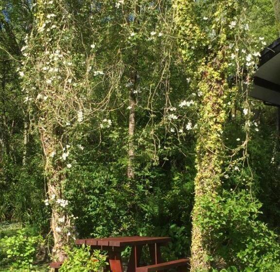 צימר Local Accommodation For Motocycle Off Road Centres