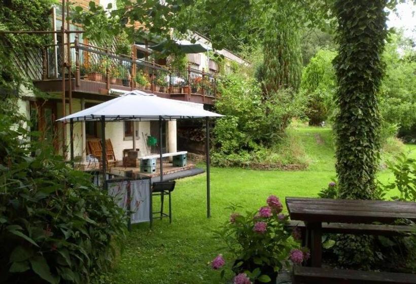 צימר Local Accommodation For Motocycle Off Road Centres