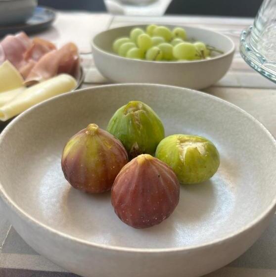 تختخواب و صبحانه Notus Rooms