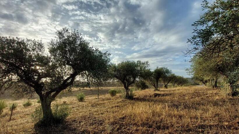 تختخواب و صبحانه Quinta Monte Da Azinheira