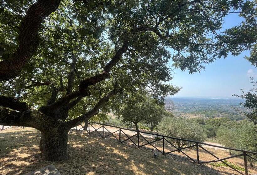 住宿加早餐  Tenuta Raimo