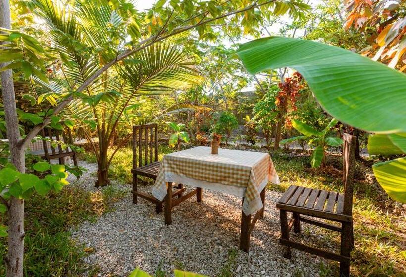 ベッドアンドブレックファースト Tropicana Boutique