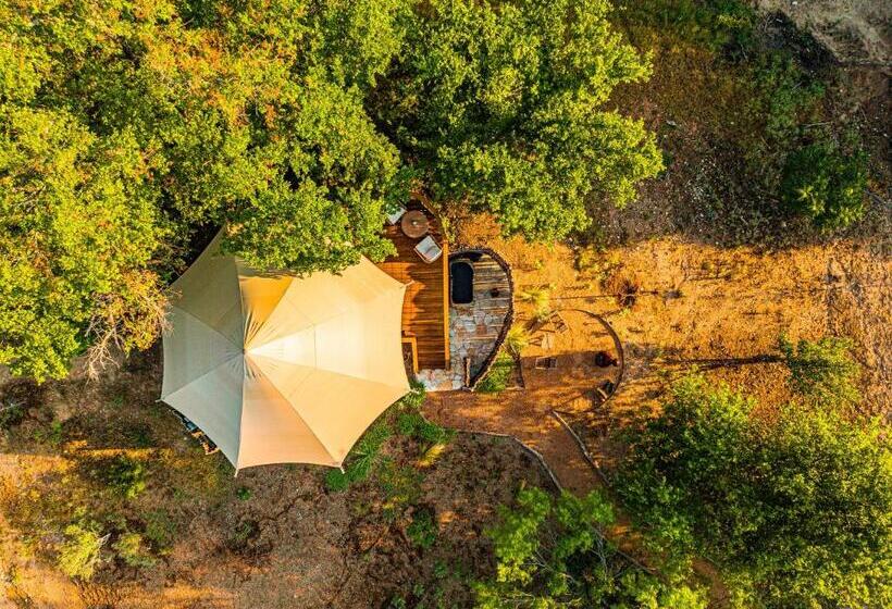 酒店 Onera Fredericksburg