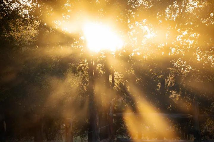 酒店 Onera Fredericksburg