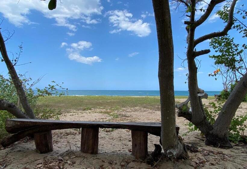 酒店 Nila Point Cabana Cottage