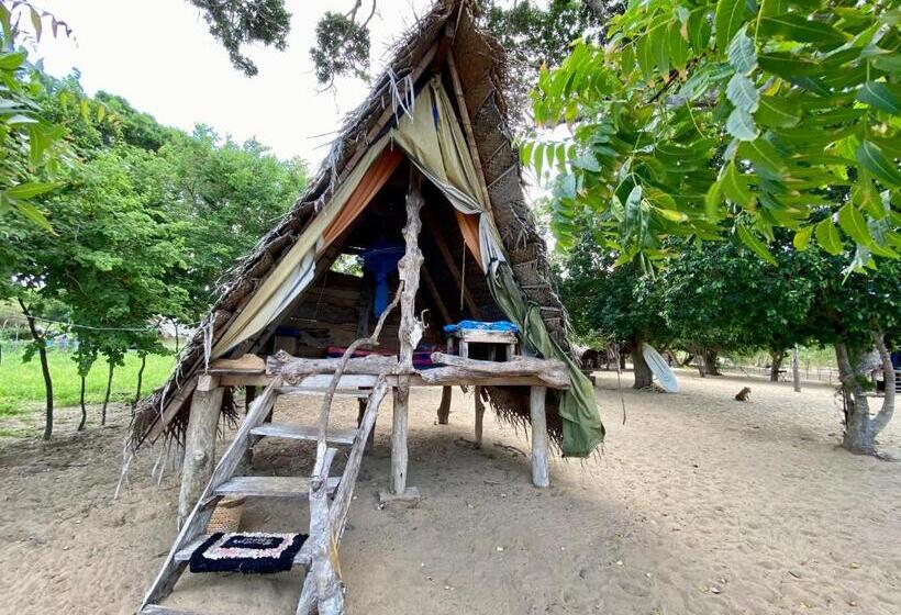 酒店 Nila Point Cabana Cottage