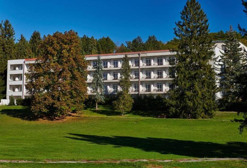 ホテル Palace   Kúpele Sliač