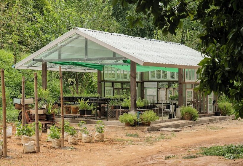 Отель Sirin Farm Chiang Rai