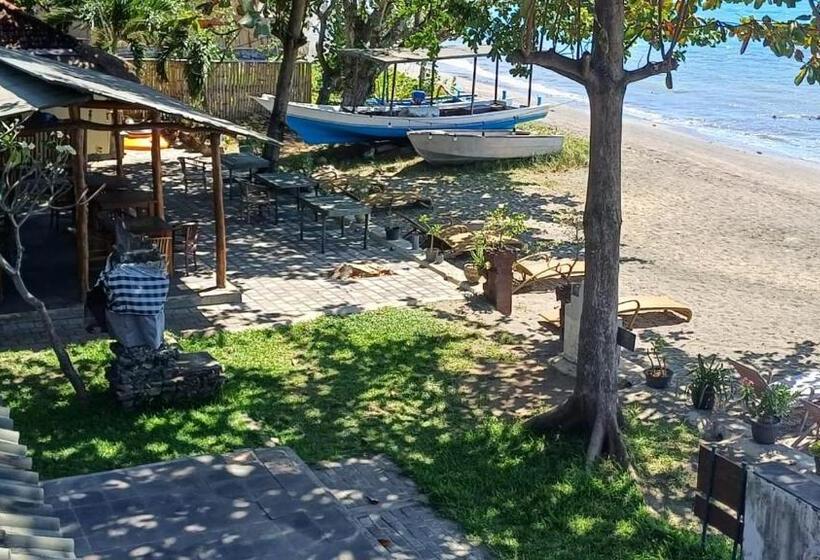 בית מלון כפרי The Beach Bungalows & Turtle Sanctuary