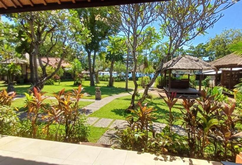 בית מלון כפרי The Beach Bungalows & Turtle Sanctuary