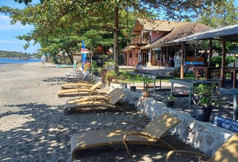 בית מלון כפרי The Beach Bungalows & Turtle Sanctuary