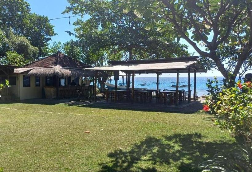 Отель The Beach Bungalows & Turtle Sanctuary